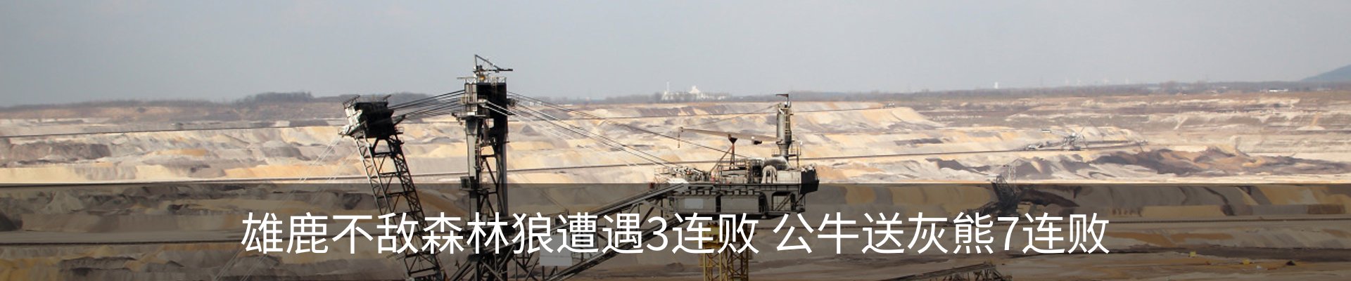 最新动态